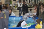 place des petits poulpes 2015 alex de lima 0427