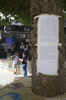 2018 cie kon brigou 8761