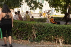 20250810 Vivants ThalieRossetti IMG 0739